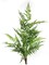 2-Pack: UV Leather Fern Bush with Lifelike Fronds by Floral Home&#xAE;